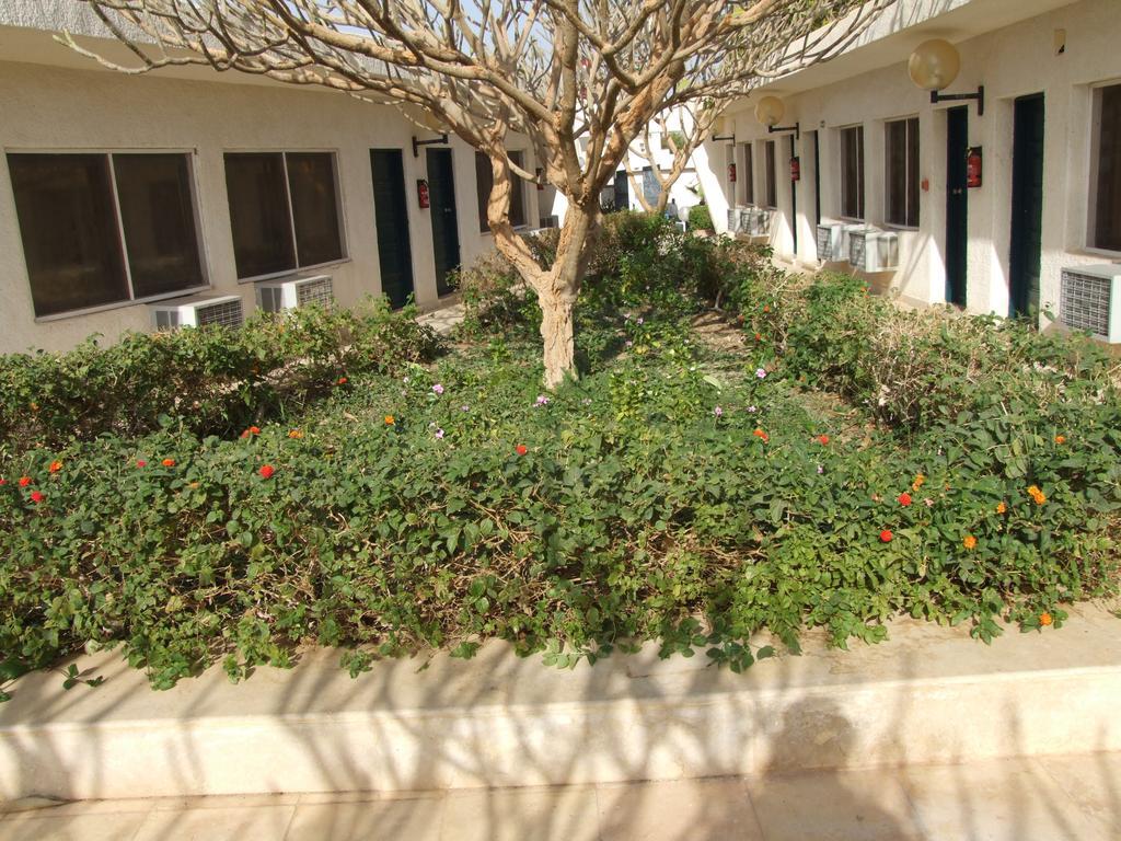 Nefertari Hotel Abu Simble Abu Simbel Exterior photo